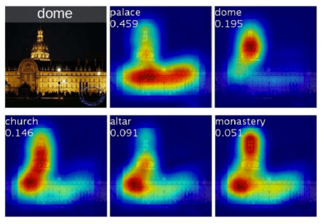 class_activation_maps